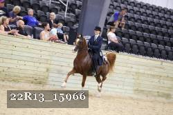 22R13_15966 proof
