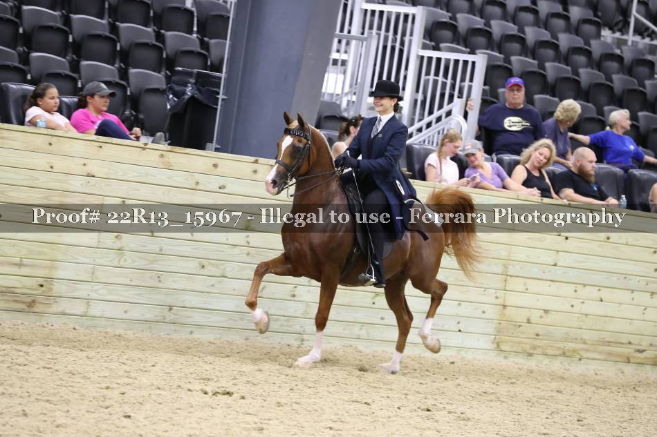 Proof 22R13_15967