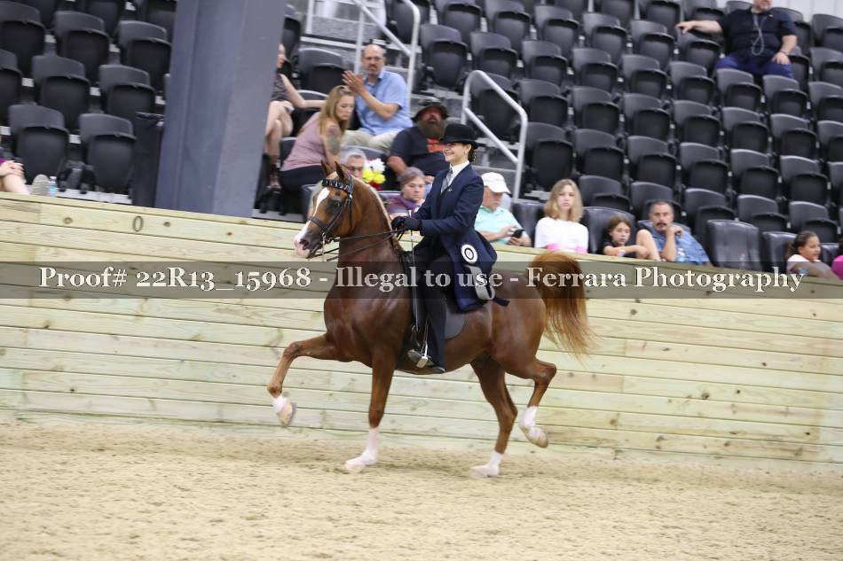 Proof 22R13_15968