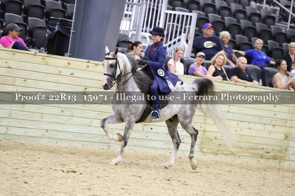 Proof 22R13_15971