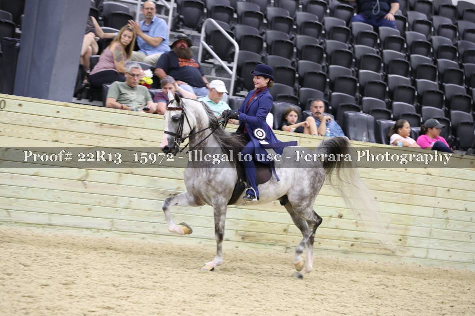 Proof 22R13_15972