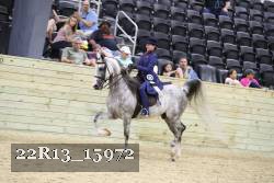 22R13_15972 proof
