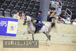 22R13_15973 proof