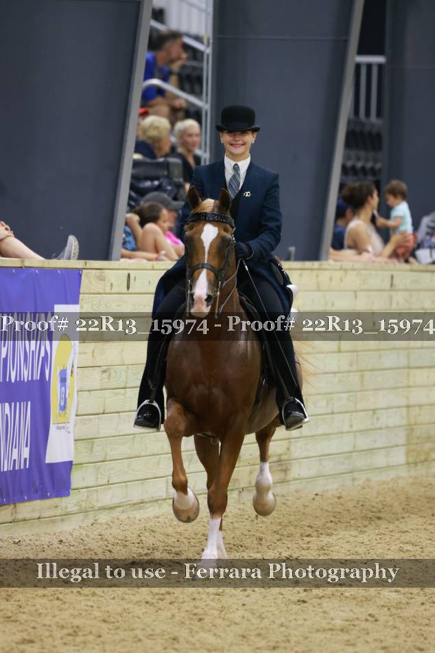 Proof 22R13_15974