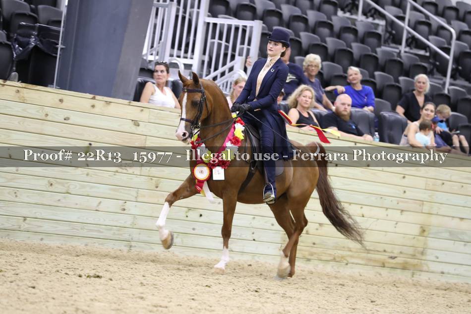 Proof 22R13_15977