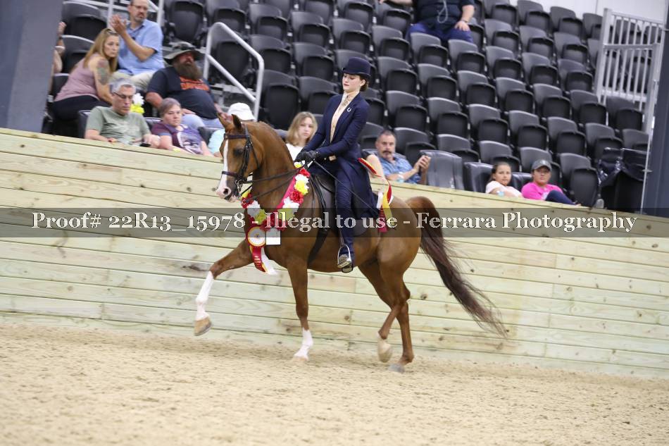 Proof 22R13_15978
