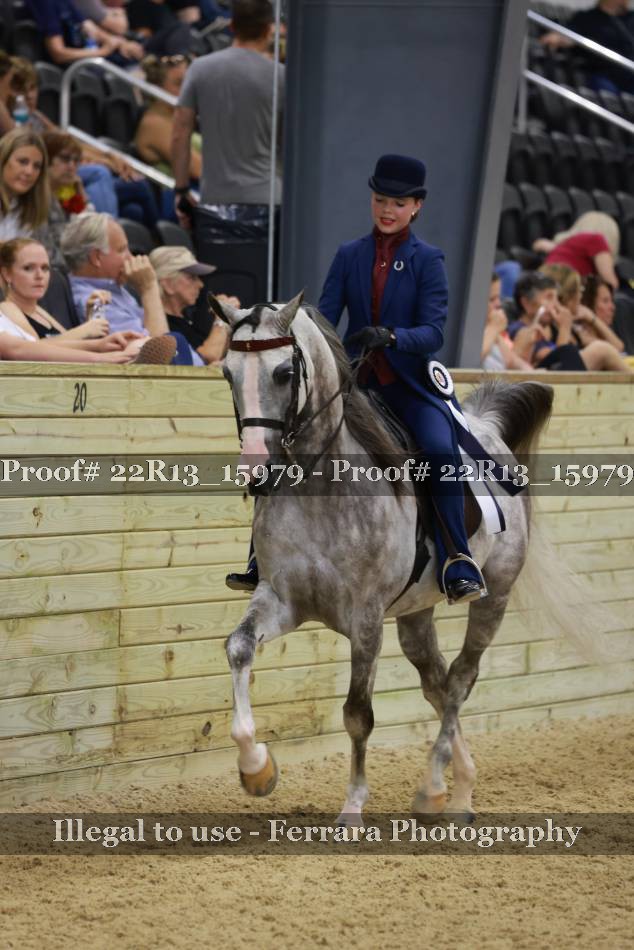 Proof 22R13_15979