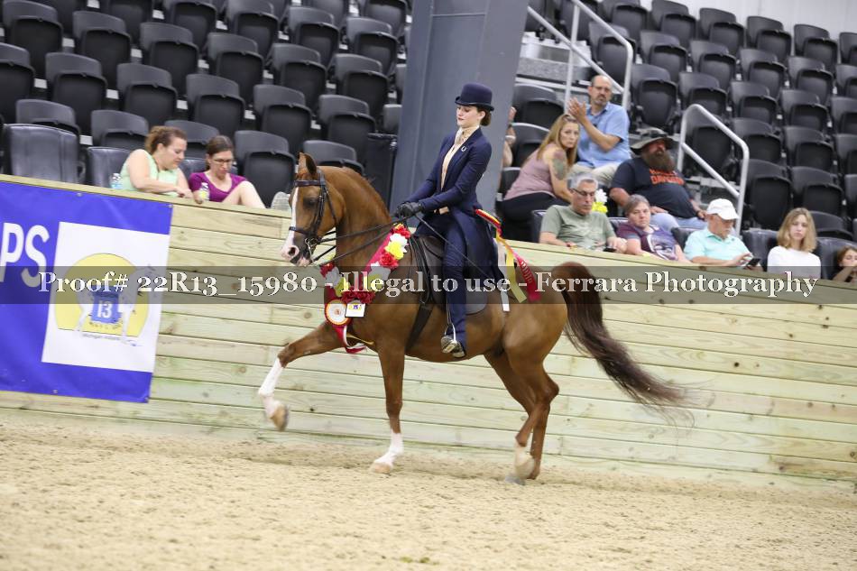 Proof 22R13_15980