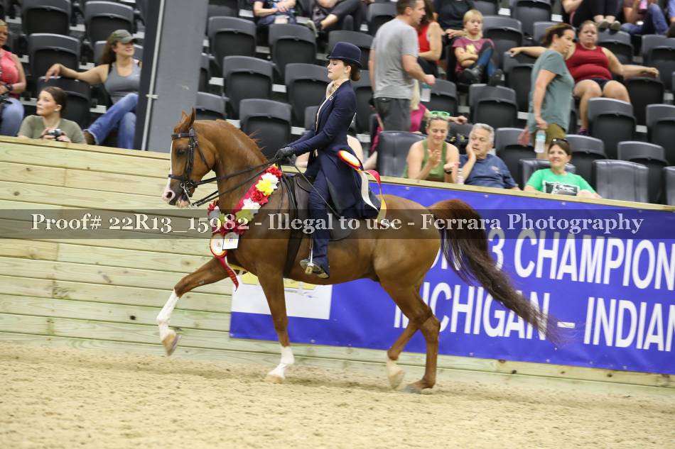 Proof 22R13_15982