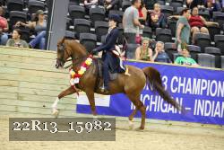 22R13_15982 proof