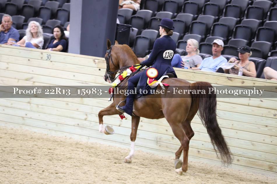 Proof 22R13_15983