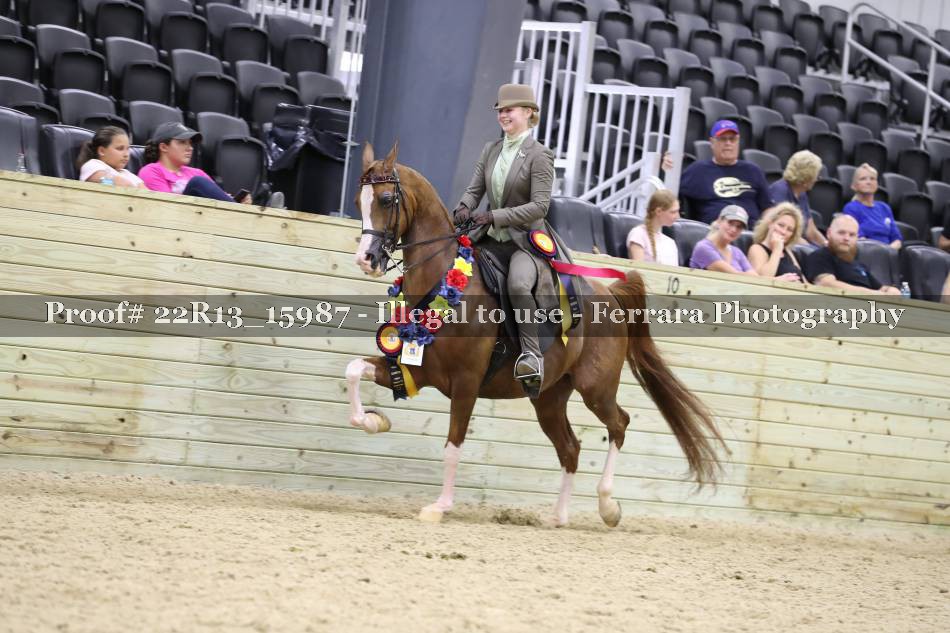 Proof 22R13_15987