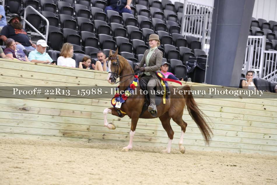 Proof 22R13_15988