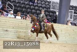 22R13_15988 proof