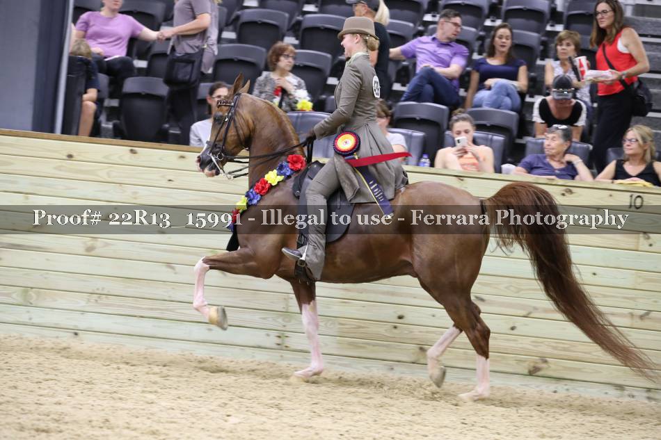 Proof 22R13_15991
