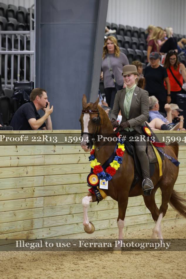 Proof 22R13_15994