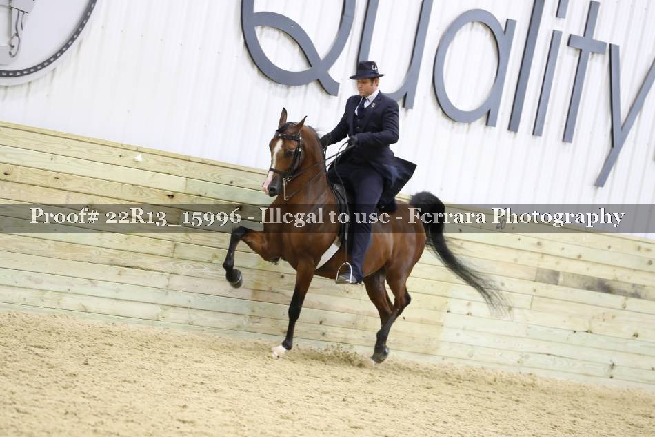 Proof 22R13_15996