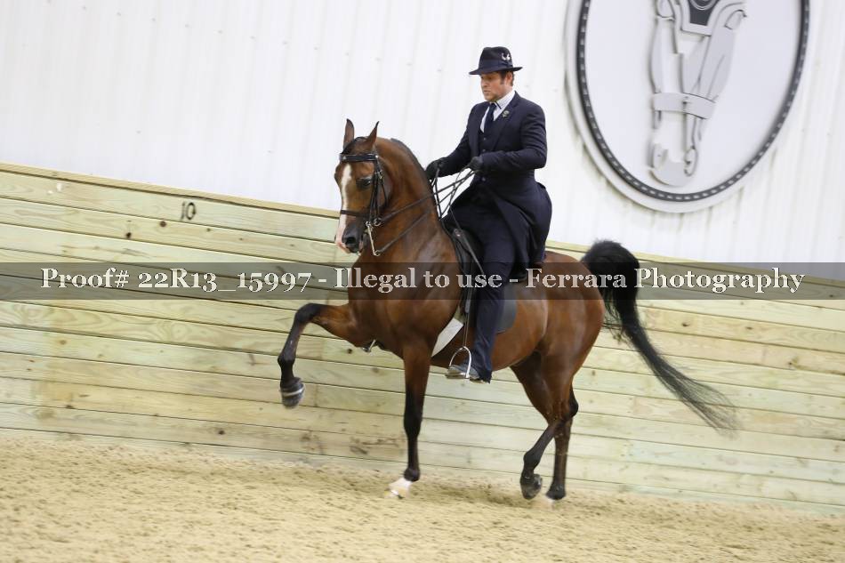 Proof 22R13_15997