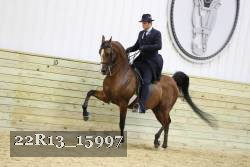 22R13_15997 proof