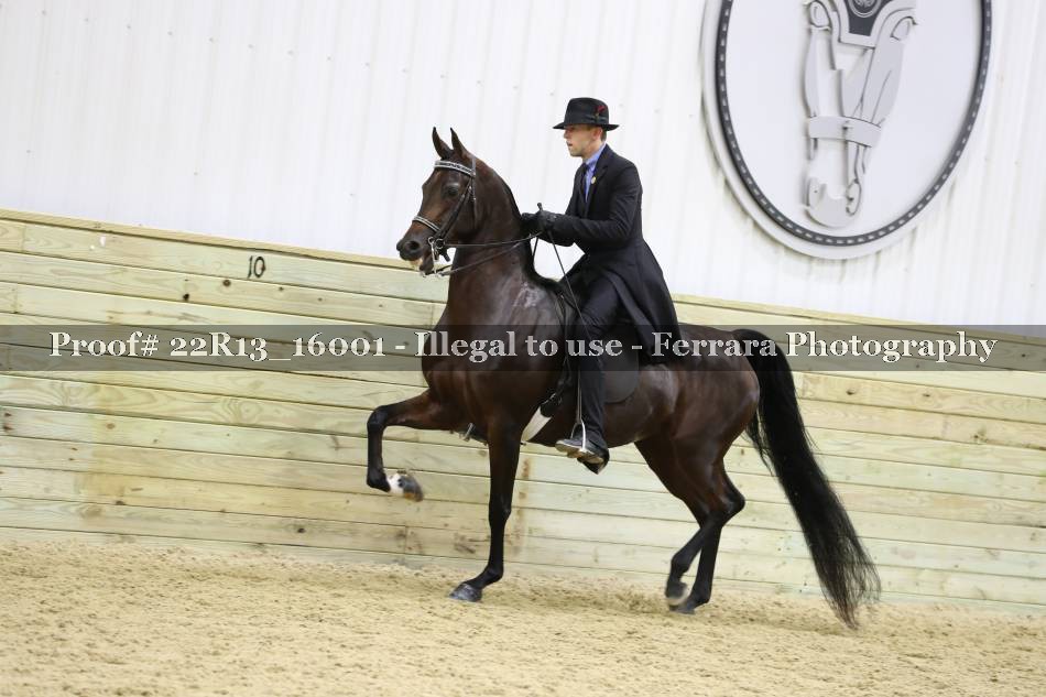 Proof 22R13_16001