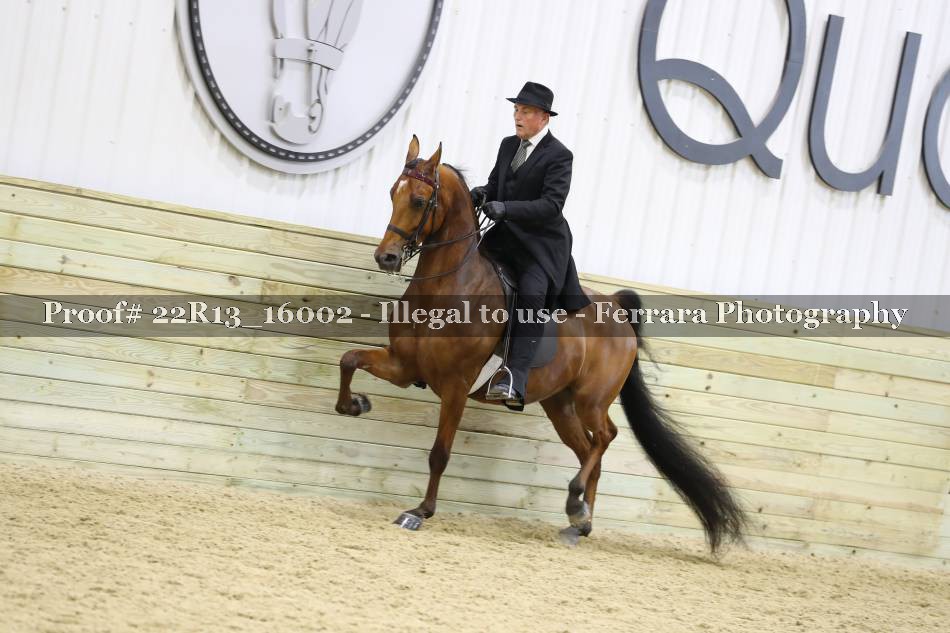 Proof 22R13_16002