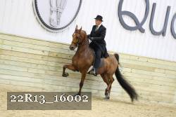 22R13_16002 proof