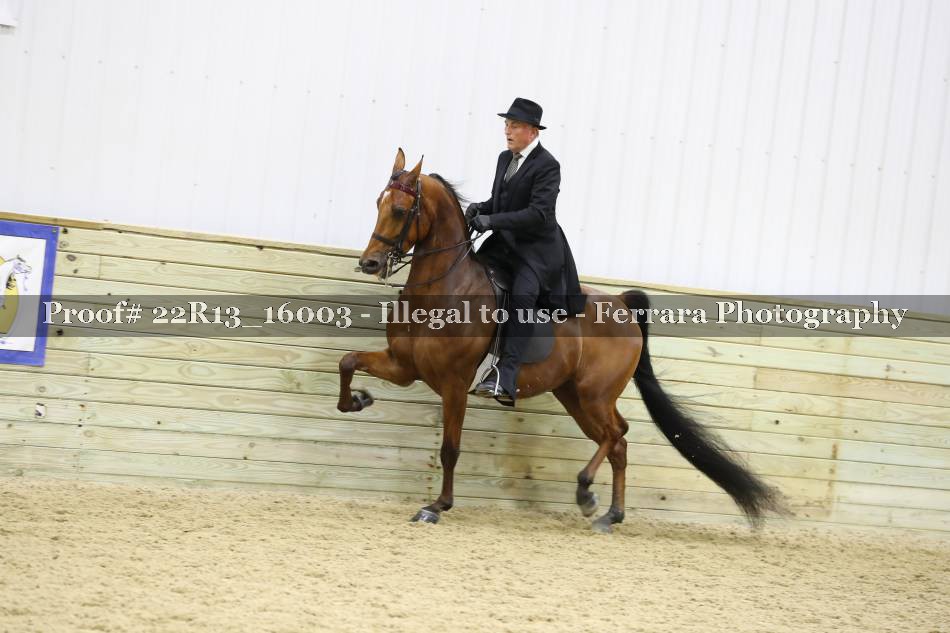 Proof 22R13_16003