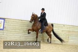 22R13_16003 proof