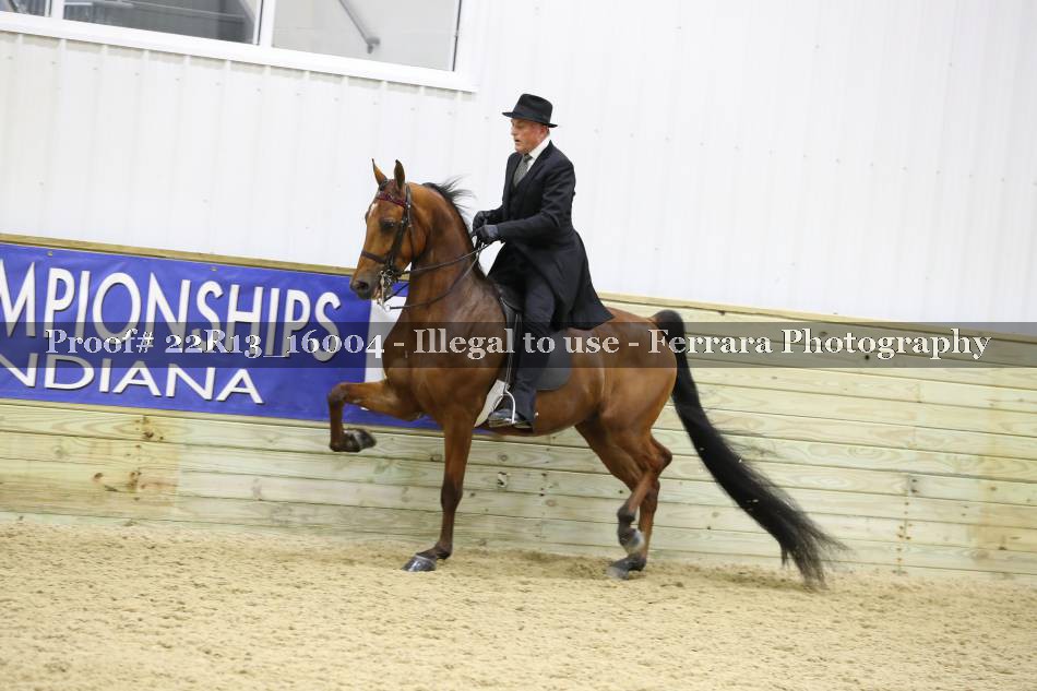 Proof 22R13_16004