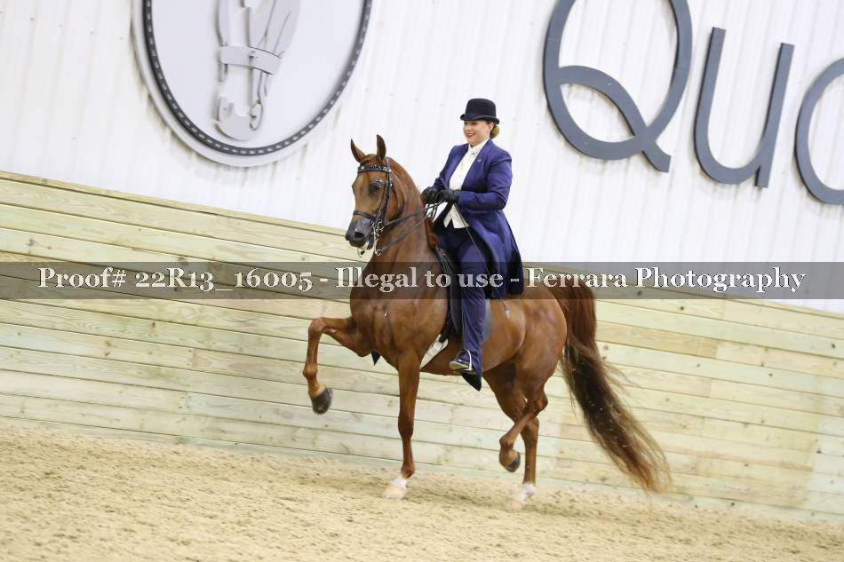 Proof 22R13_16005