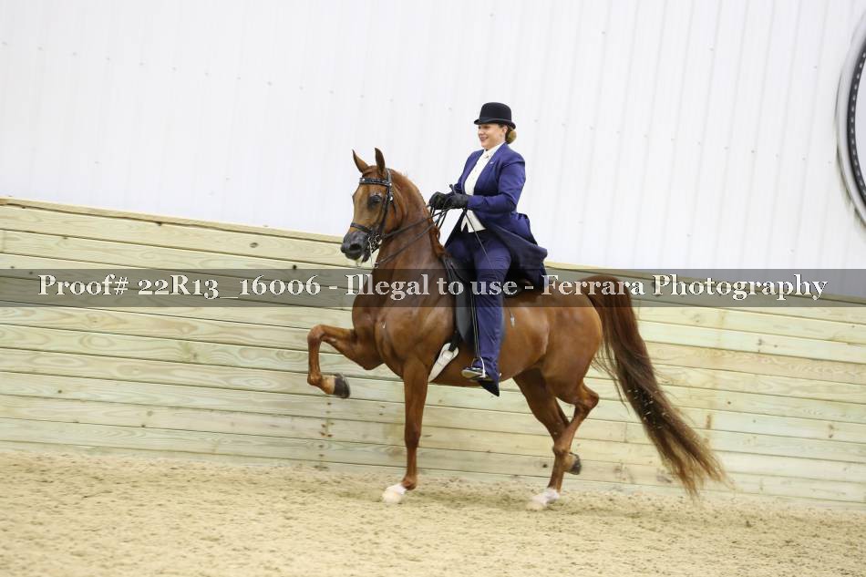 Proof 22R13_16006