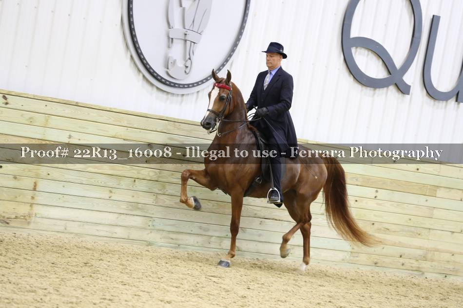 Proof 22R13_16008