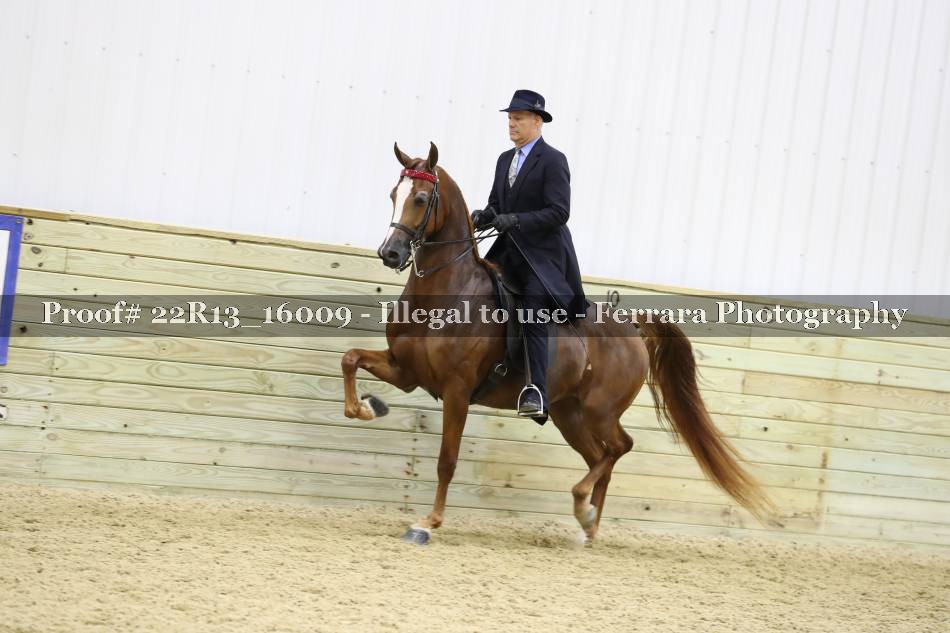 Proof 22R13_16009