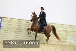 22R13_16009 proof
