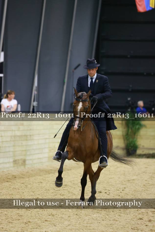 Proof 22R13_16011