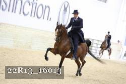 22R13_16013 proof