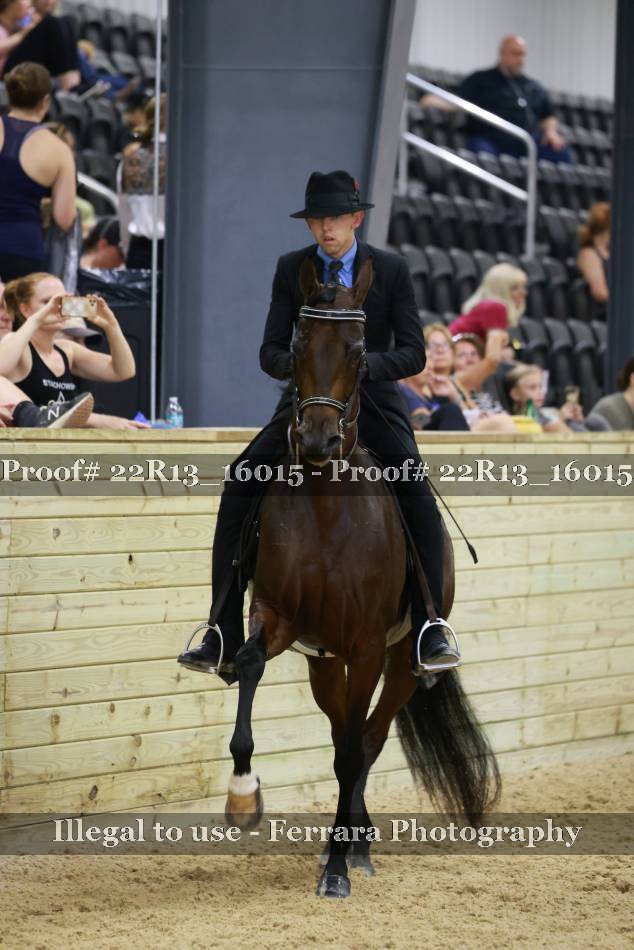 Proof 22R13_16015