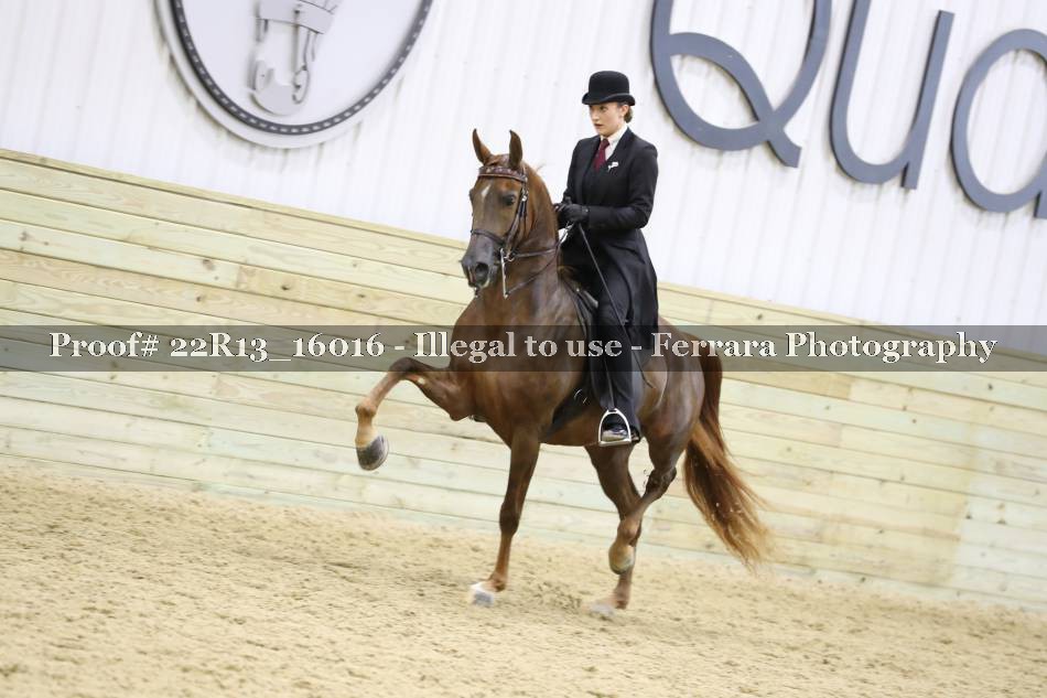 Proof 22R13_16016