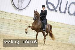 22R13_16016 proof