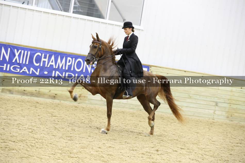 Proof 22R13_16018