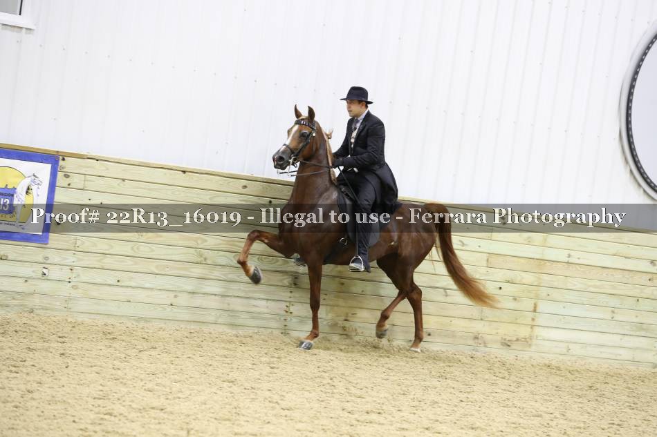 Proof 22R13_16019