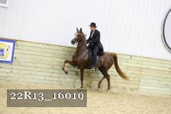 22R13_16019 proof