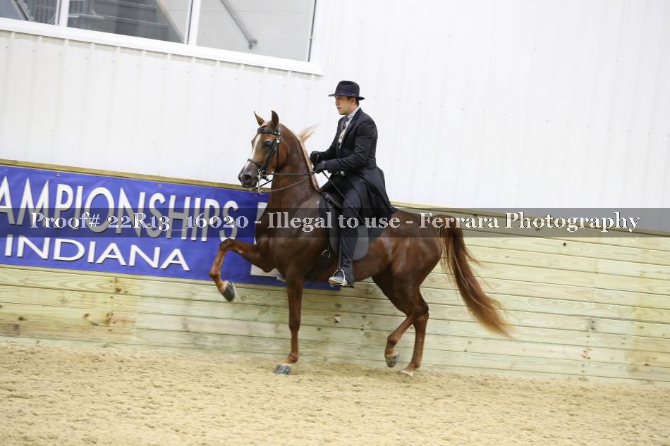 Proof 22R13_16020