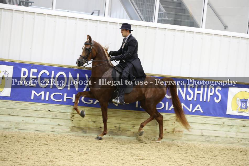 Proof 22R13_16021