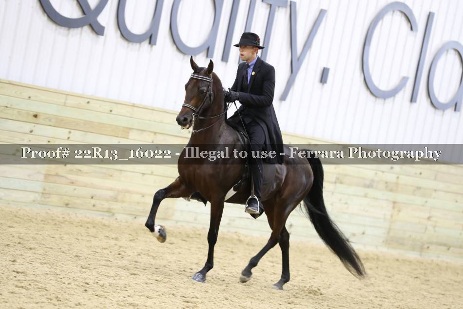 Proof 22R13_16022