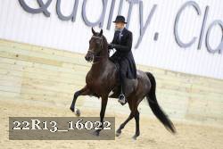 22R13_16022 proof