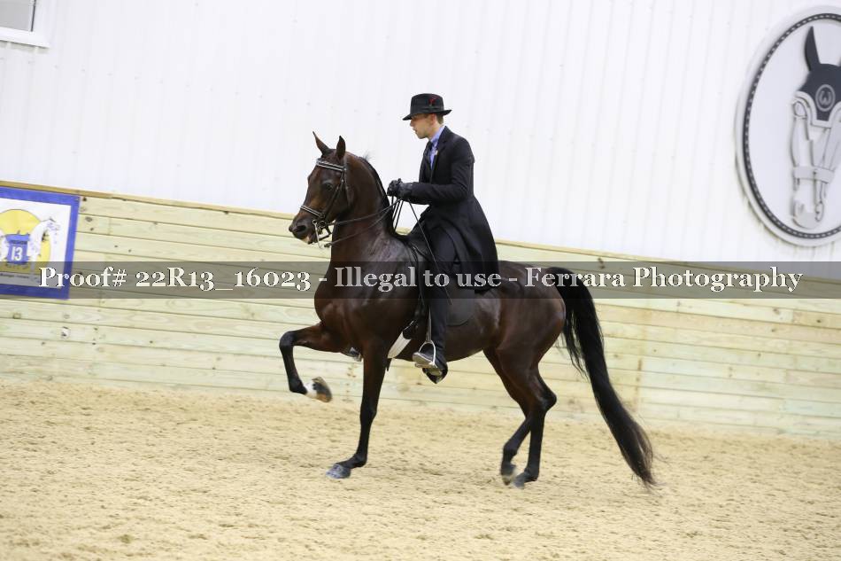 Proof 22R13_16023