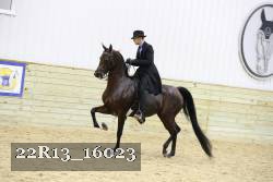 22R13_16023 proof