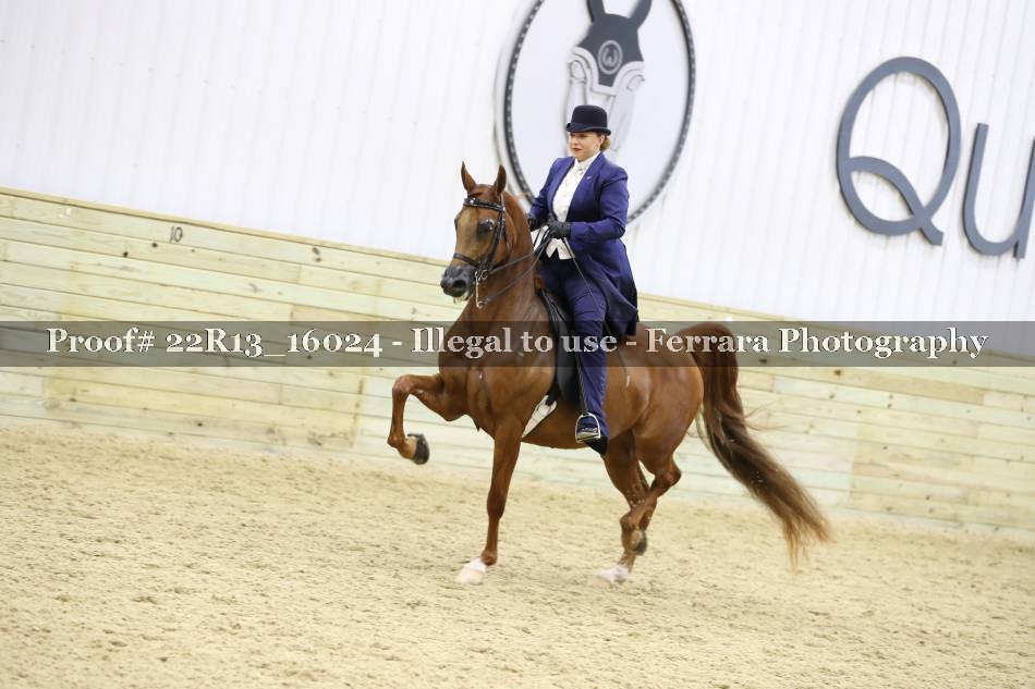 Proof 22R13_16024