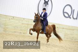 22R13_16024 proof